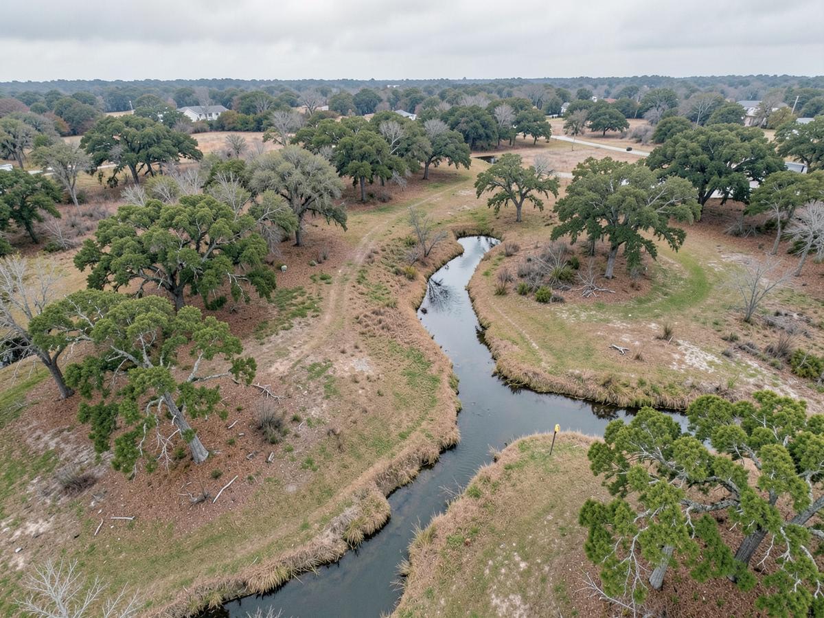 Aerial view of a wooded parcel with a winding creek